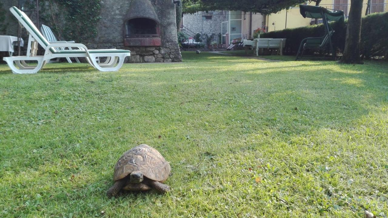 Corte Faliva Brenzone sul Garda Buitenkant foto
